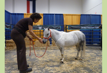 Homeira with a miniature horse at the Royal Winter Fair