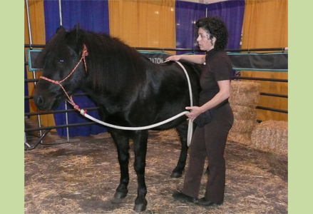Homeira with a black horse at the Royal Winter Fair