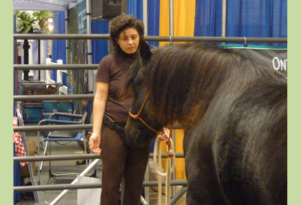 Homeira with a black horse at the Royal Winter Fair