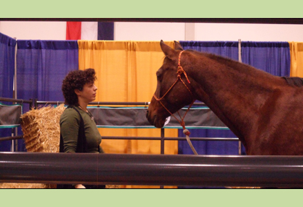Homeira with a chestnut at the Royal Winter Fair