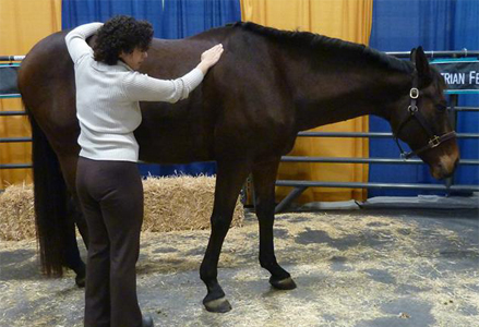 Homeira with a bay horse at the Royal Winter Fair