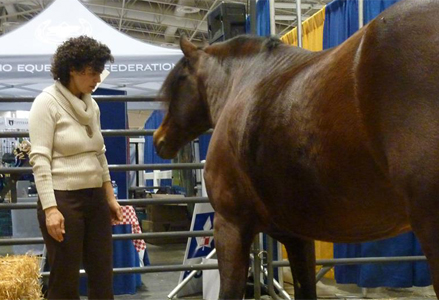 Homeira with a bay horse at the Royal Winter Fair