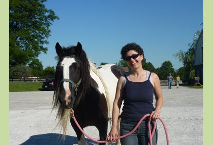 Homeira leading a Gypsy Vanner