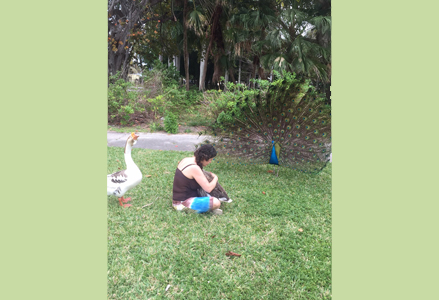 Homeira with geese and a peacock