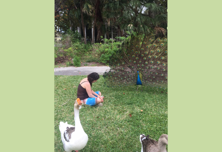 Homeira with geese who are walking away