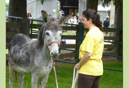 Homeira working with a donkey