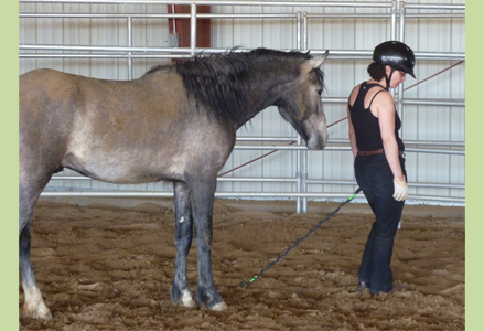 Homeira with a young grey horse