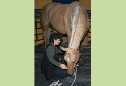 Homeira with a palomino at the Royal Winter Fair