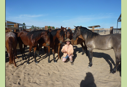 Homeira with a herd of horses