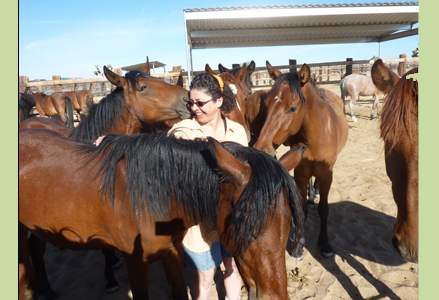 Homeira with a herd of horses