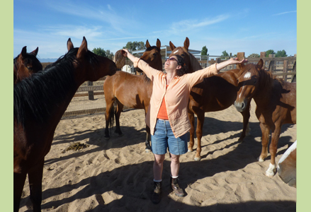 Homeira with a herd of horses