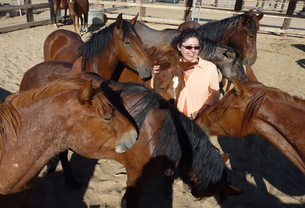 Homeira with a herd of horses