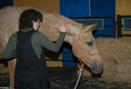 Homeira with a palomino at the Royal Winter Fair