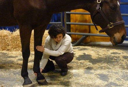 Homeira with a bay horse at the Royal Winter Fair