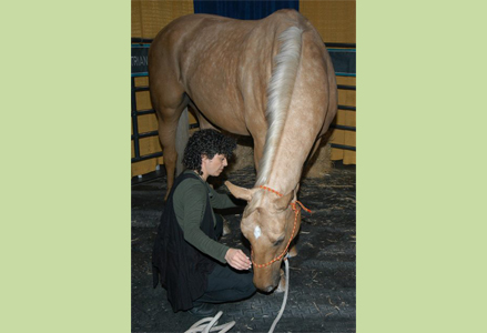 Homeira with a palomino at the Royal Winter Fair